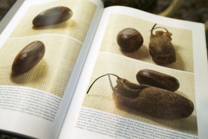 JS-seer stone-1576805