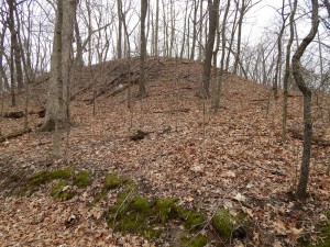 Zelph mound 025