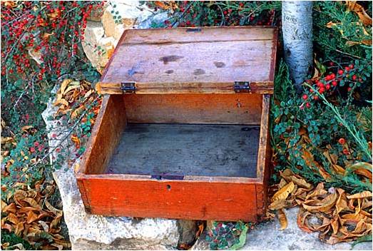 alvin box